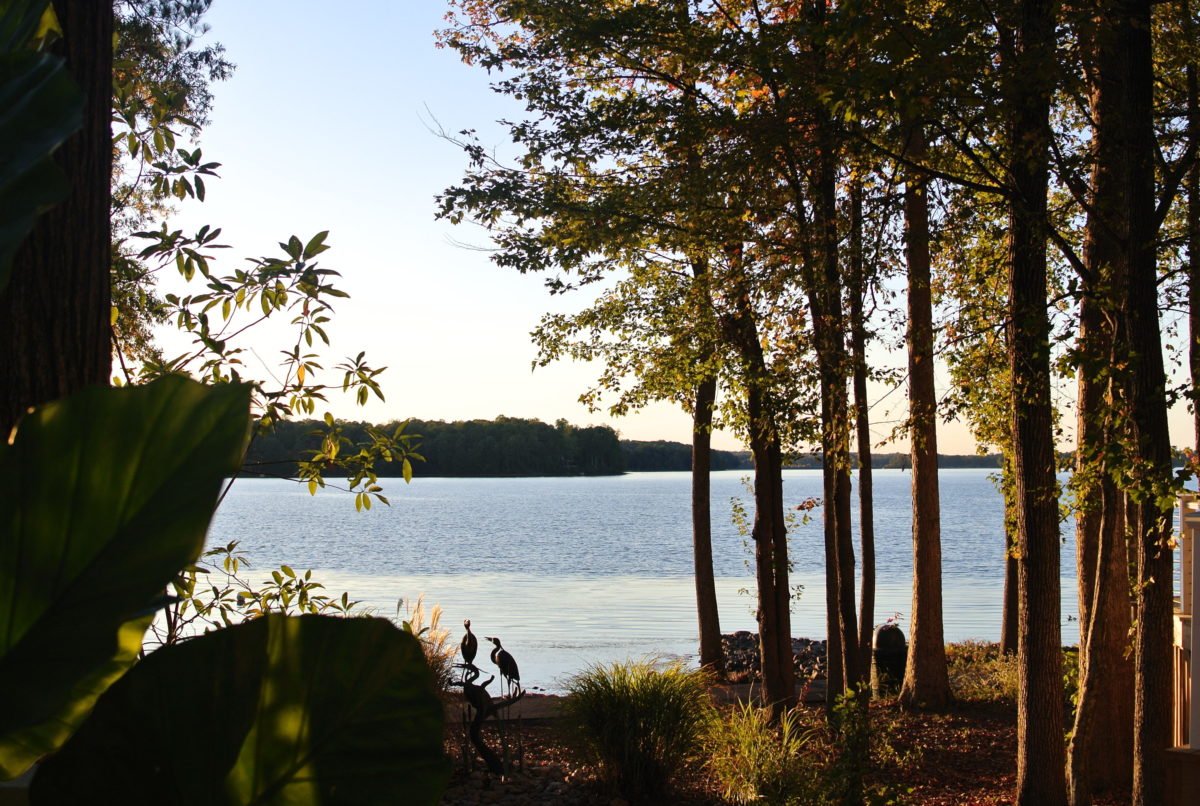 Virginia days (19) Swift Creek Reservoir Akiko Tanigaki