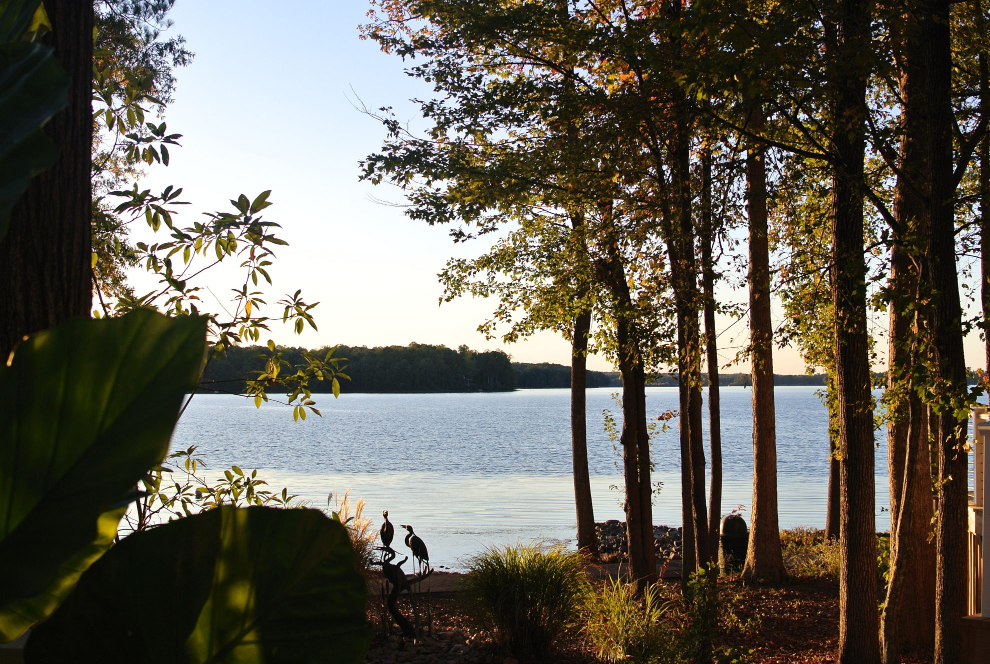 Virginia days (19) Swift Creek Reservoir Akiko Tanigaki