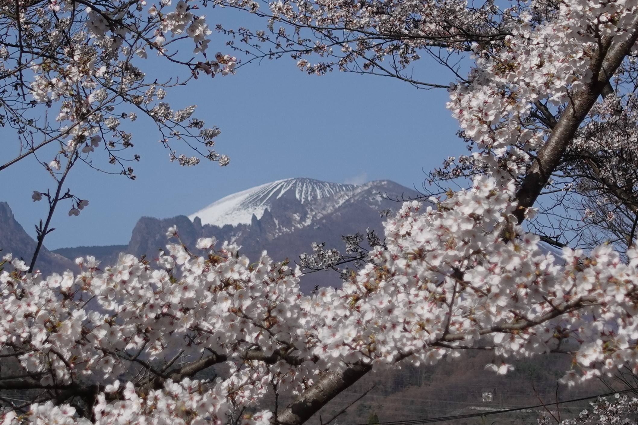 小諸城址懐古園（振り返り）