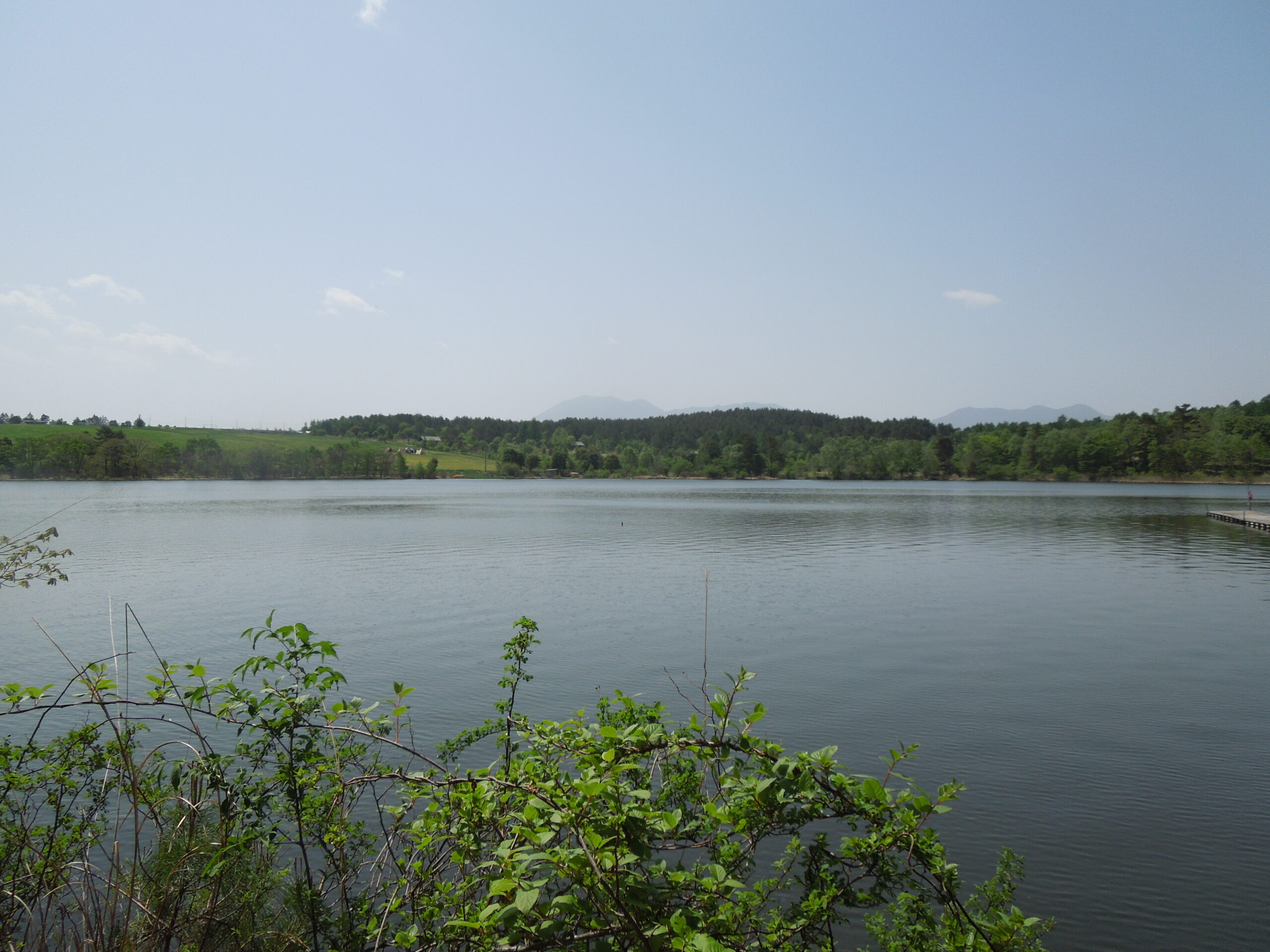 自然観察会―バラギ湖　（振り返り）