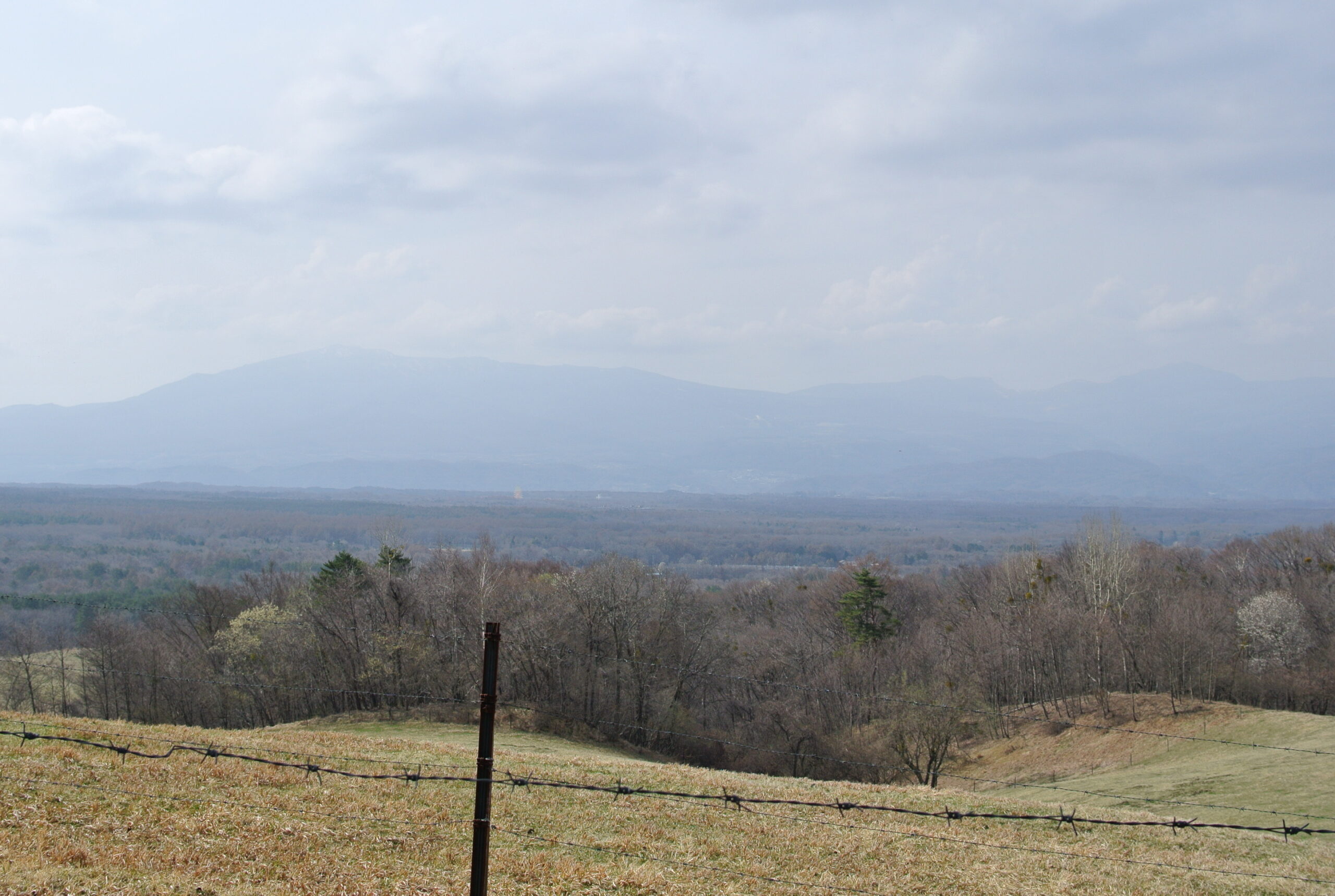私の定点観察（6回目）