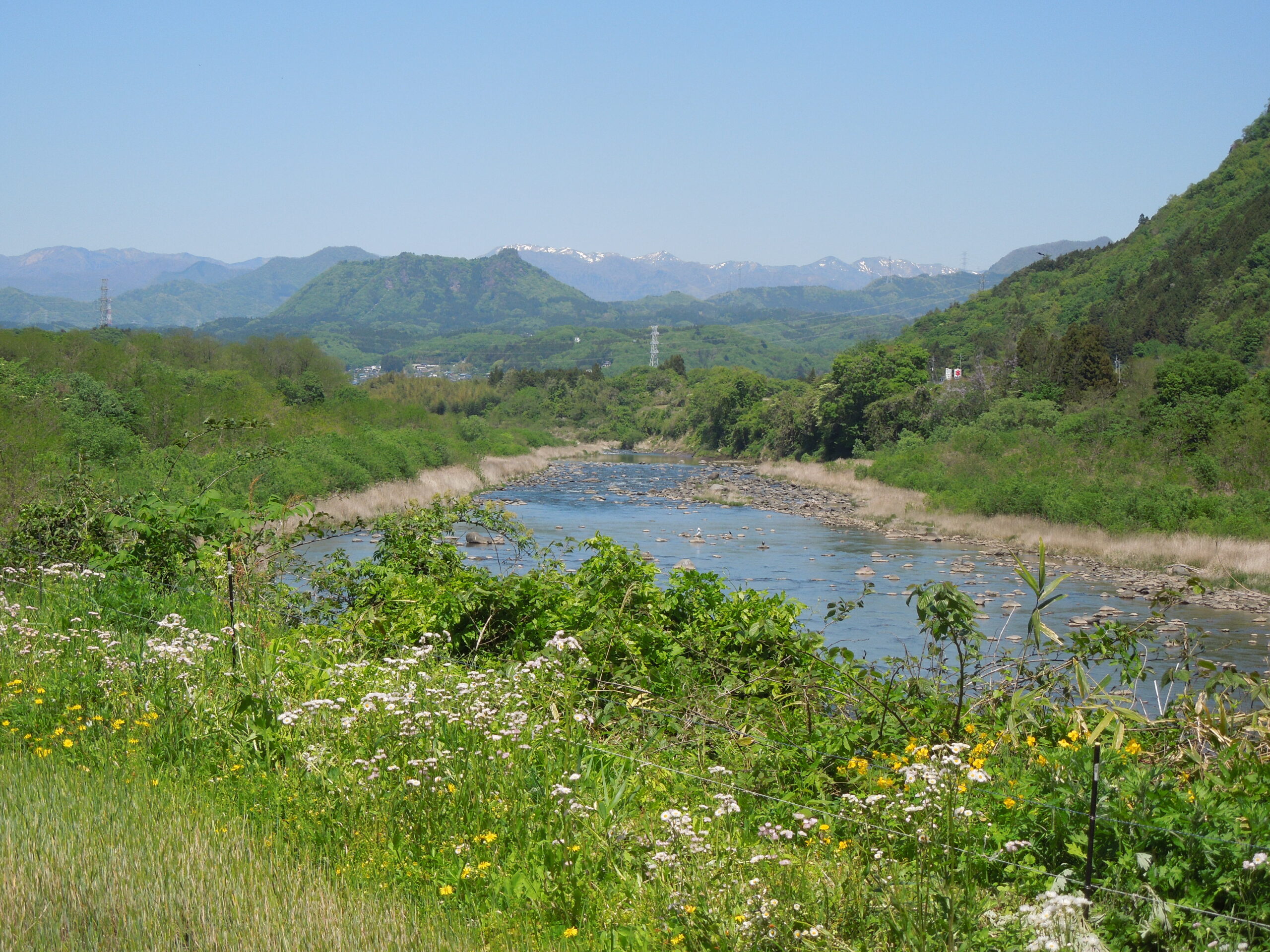 植物観察会―その1
