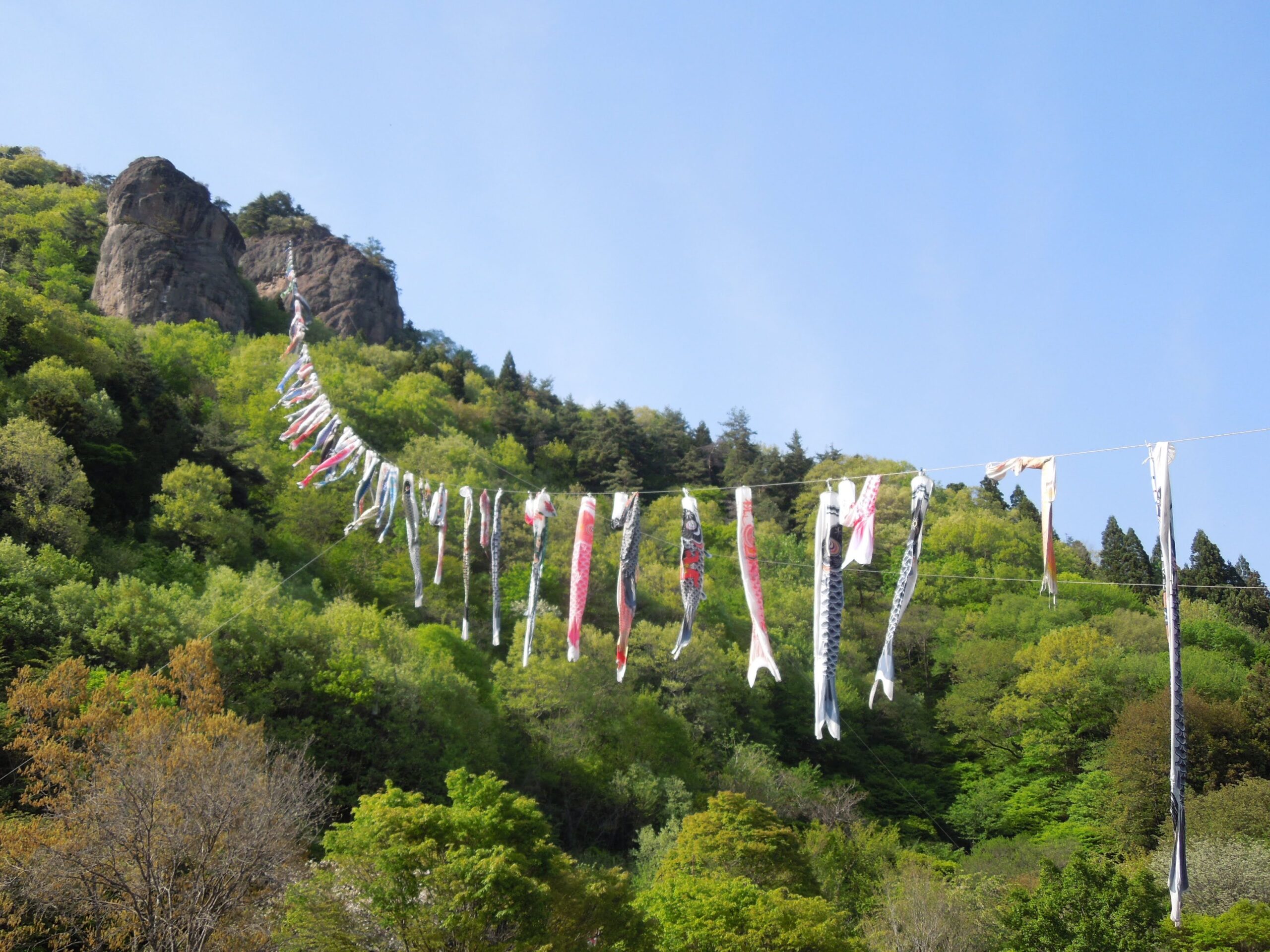 5月になりました！