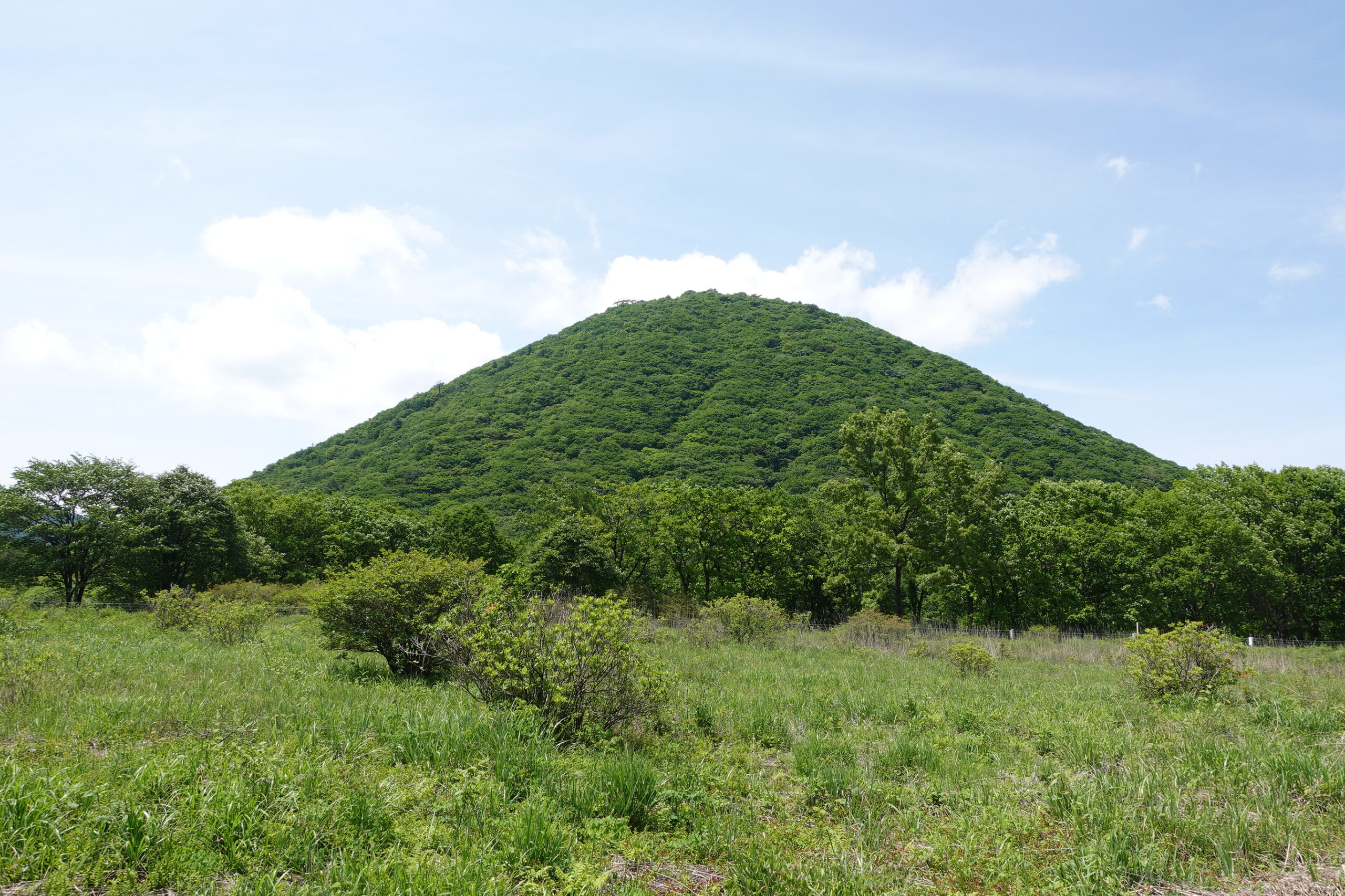 植物観察―榛名山